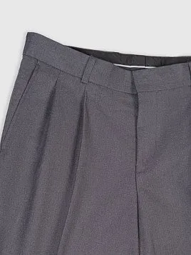 СЕРЫЕ МУЖСКИЕ БРЮКИ С ЗАЩИПАМИ TR26113-230