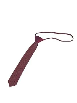 КРАСНЫЙ ГАЛСТУК ДЛЯ МАЛЬЧИКА TIE-26KID1 (47-4)