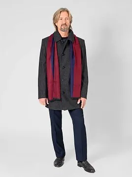 ШАРФ МУЖСКОЙ ТЕКСТИЛЬНЫЙ SF02, БОРДОВЫЙ В ПОЛОСКУ 