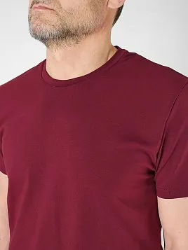 ФУТБОЛКА МУЖСКАЯ PEPLOS TS23108-R БОРДОВЫЙ