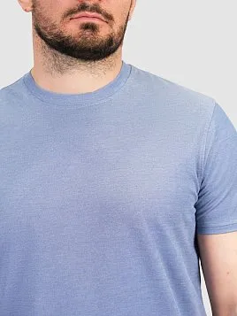 ФУТБОЛКА МУЖСКАЯ PEPLOS TSR25103-R СИНИЙ