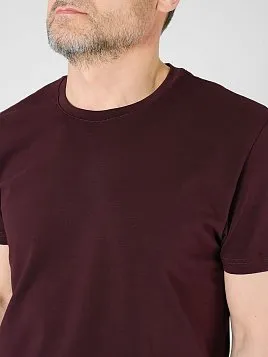 ФУТБОЛКА МУЖСКАЯ PEPLOS TS23109-R БОРДОВЫЙ