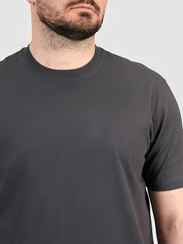 ФУТБОЛКА МУЖСКАЯ PEPLOS TSR25109-R СЕРЫЙ