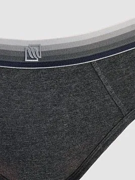 ТРУСЫ ДЛЯ МАЛЬЧИКА PEPLOS UW23J005-BR ТЕМНО-СЕРЫЙ