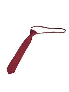 КРАСНЫЙ ГАЛСТУК ДЛЯ МАЛЬЧИКА TIE-26KID2 (241)