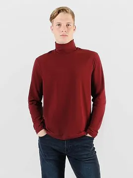 ВОДОЛАЗКА МУЖСКАЯ PEPLOS МТ9 121 БОРДОВЫЙ БОРДОВЫЙ