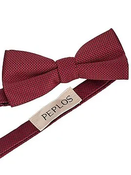 БАБОЧКА ДЛЯ МАЛЬЧИКА BOWTIE-26KID1 КРАСНАЯ (241)