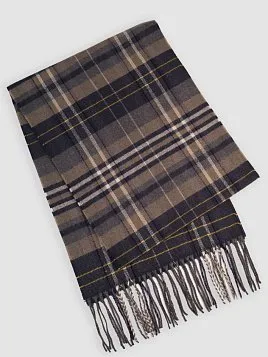 ШАРФ МУЖСКОЙ PEPLOS SF2603 МУЛЬТИКОЛОР