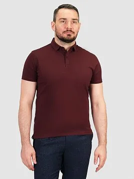 РУБАШКА-ПОЛО МУЖСКАЯ PEPLOS TSP25052-R БОРДОВЫЙ
