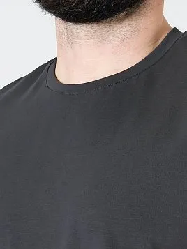 ФУТБОЛКА МУЖСКАЯ PEPLOS TS24107-R СЕРЫЙ