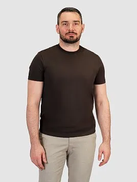 ФУТБОЛКА МУЖСКАЯ PEPLOS TSR25107-R КОРИЧНЕВЫЙ