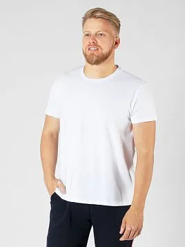 ФУТБОЛКА МУЖСКАЯ PEPLOS TS-BR-7/2 БЕЛЫЙ