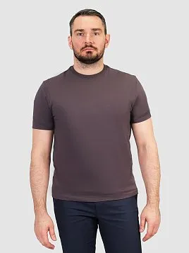 ФУТБОЛКА МУЖСКАЯ PEPLOS TSR25110-R ФИОЛЕТОВЫЙ