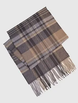 ШАРФ МУЖСКОЙ PEPLOS SF2602 МУЛЬТИКОЛОР