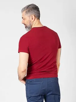 ФУТБОЛКА МУЖСКАЯ PEPLOS TS22107-R КРАСНЫЙ/БОРДО