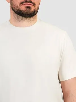 ФУТБОЛКА МУЖСКАЯ PEPLOS TSR25121-R МОЛОЧНЫЙ