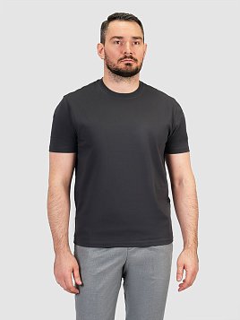 ФУТБОЛКА МУЖСКАЯ PEPLOS TSR25109-R СЕРЫЙ