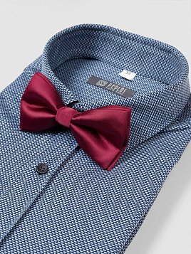 БАБОЧКА  PEPLOS  250/13 БОРДОВЫЙ